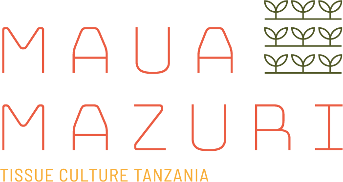 Maua Mazuri